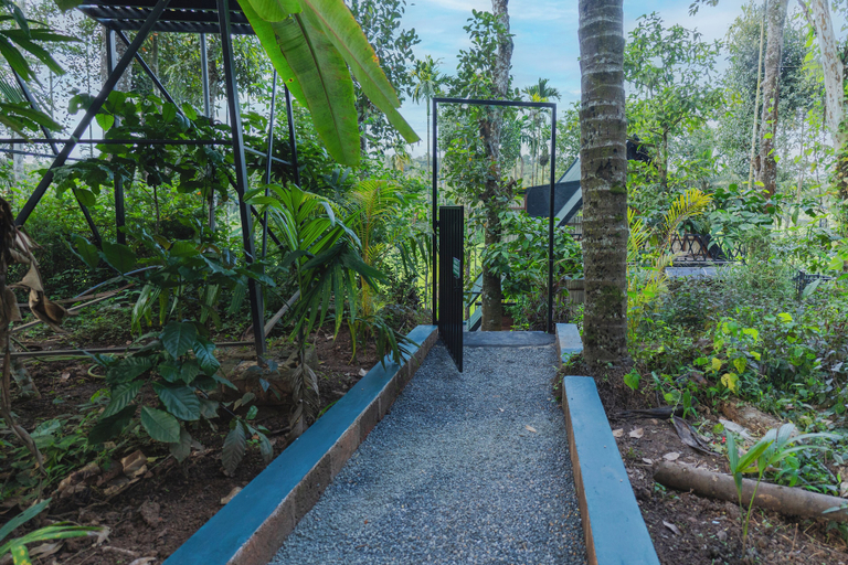 Others 4, Ethnic Villa Wayanad, Wayanad