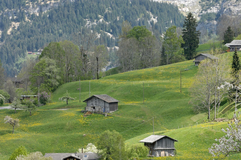 Scenery