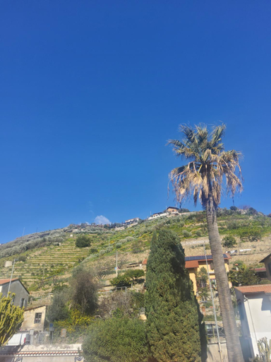 Others 5, Villa Rosa, Imperia