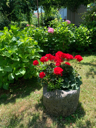 Others 4, Guest House Krk Town Centre, Krk