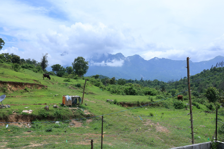 Others 5, Iyer Square, Palakkad