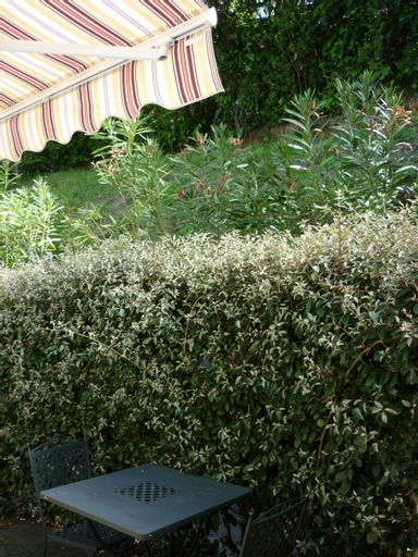 Scenery 12