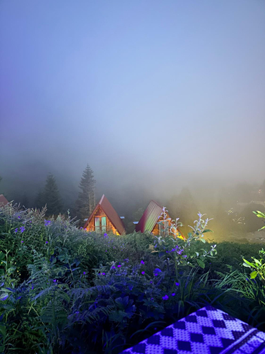 Surrounding environment 3, Ayder Villa Gencal, Ardeşen