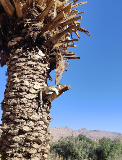 Others 5, Le Retour au calme Maison d'hotes, Ouarzazate