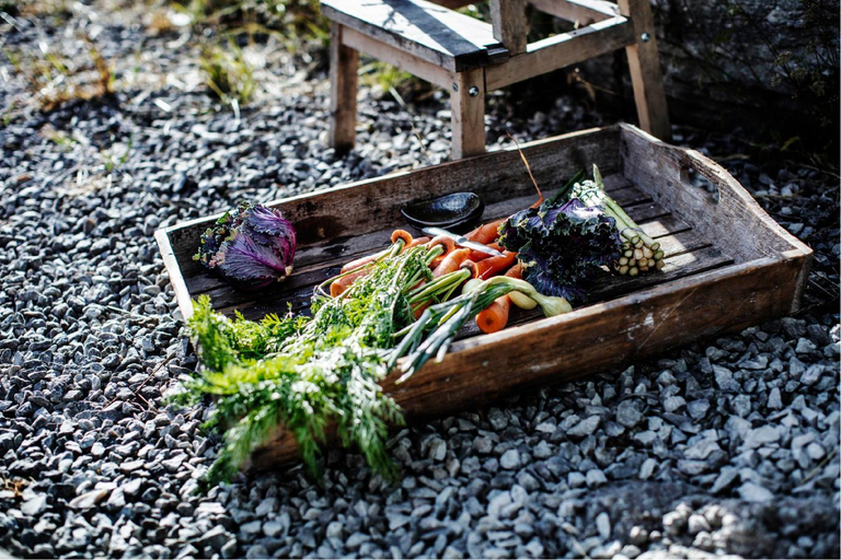 Food & Drinks 5, Farosunds Fastning, Gotland