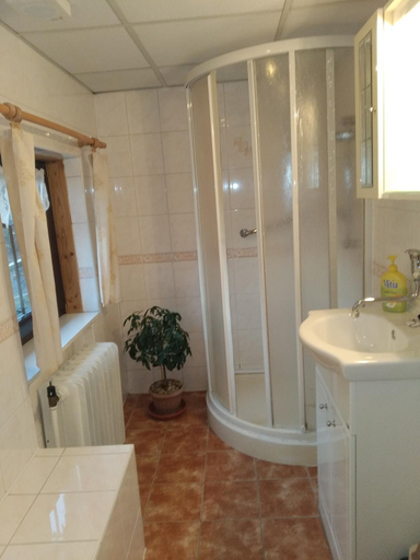 Bathroom 2, Ubytovani Riegel, Trutnov