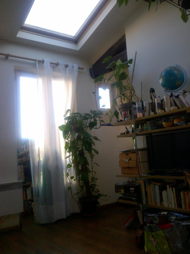 Others 5, calme et repos, vue sur les arbres, Paris