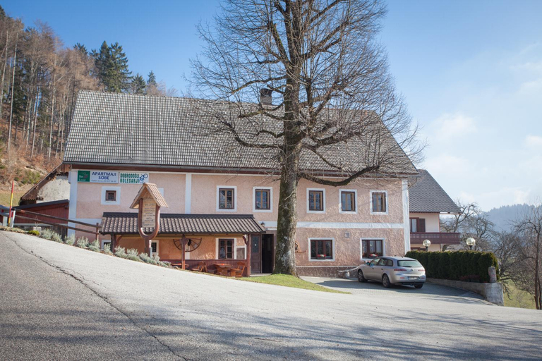 Others 3, Apartments Lovec, Cerkno
