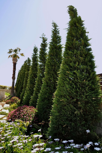 Others 3, Ocean Villas Complex, Crete