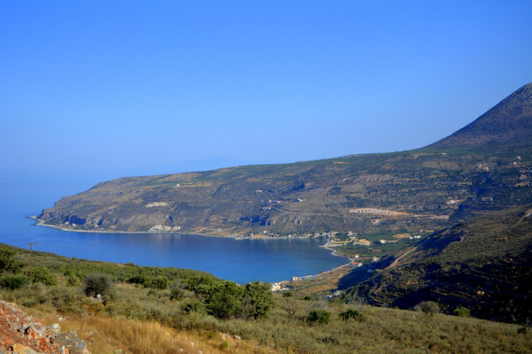 Others 5, Olea, Peloponnese