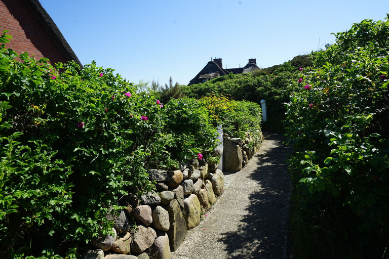 Exterior & Views, Ferienwohnung Dikstig "rechts", Nordfriesland