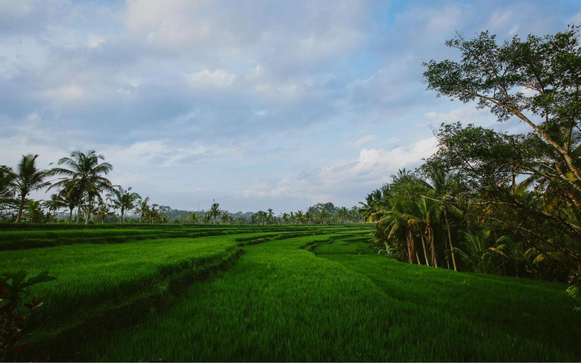 Scenery 1