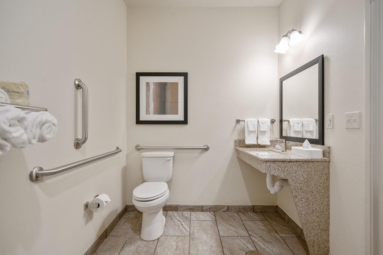 Bathroom 3, Cobblestone Hotel - Austin, Mower