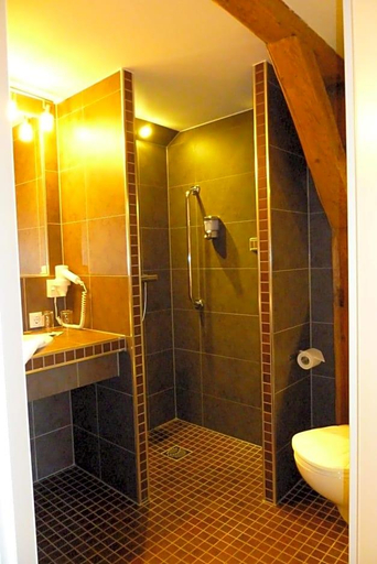 Bathroom 5, Hotel Goldener Stern, Mittelsachsen