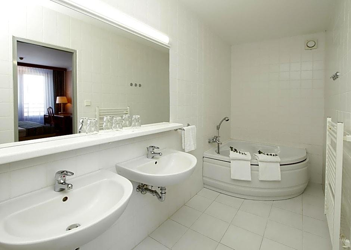 Bathroom, Hotel Krakonos, Cheb