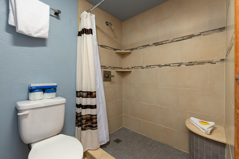 Others 5, 1610 Quicksilver Condo, Summit