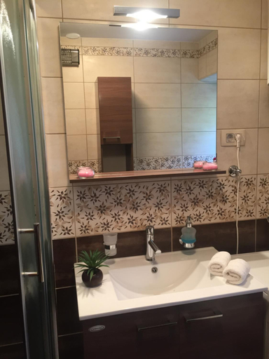 Bathroom 3, Apartment Radimiri