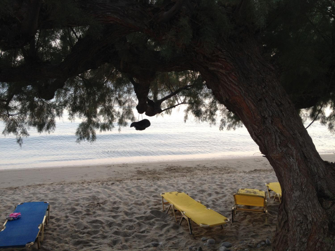 Others 5, Creta Sun Apartments in Makrigialos Sea-view, Crete