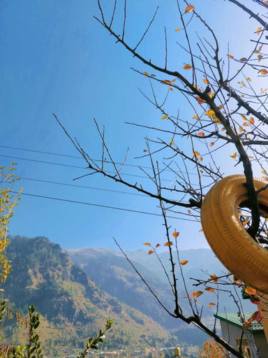 Others 5, Manali Heart Villa, Kullu