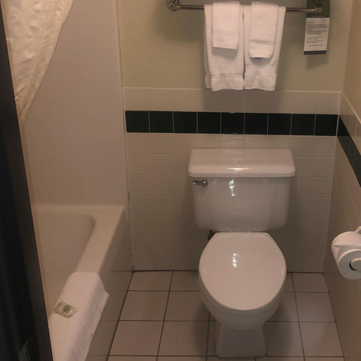 Bathroom 4, Cobblestone Hotel & Suties - Wisconsin Rapids, Wood