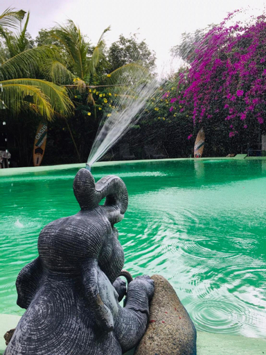 Swimming Pool 5