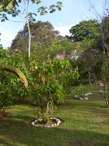Others 4, Finca Kobo, Golfito