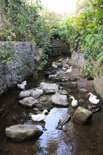 Others 2, Los Aramos, Antón