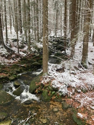 Others 5, Harrachov 702, Semily