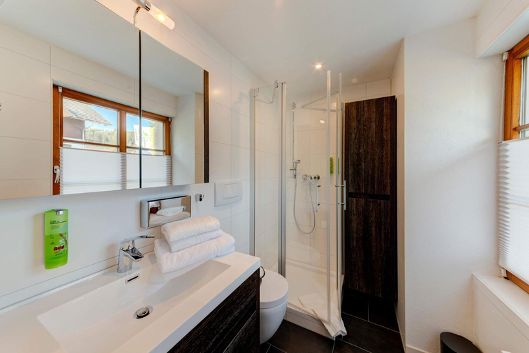 Bathroom 5, Landgasthof zum Dorfkrug, Waldshut