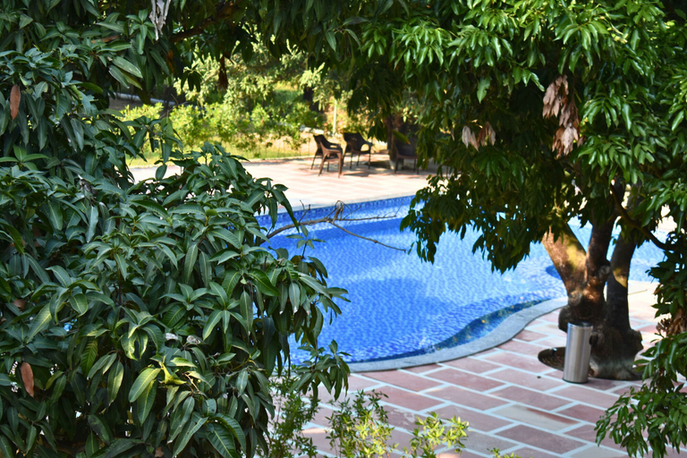 Sport & Beauty 5, The Greenwich Resort, Nainital