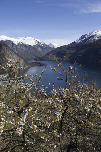 Others 4, Valldal Camping, Norddal