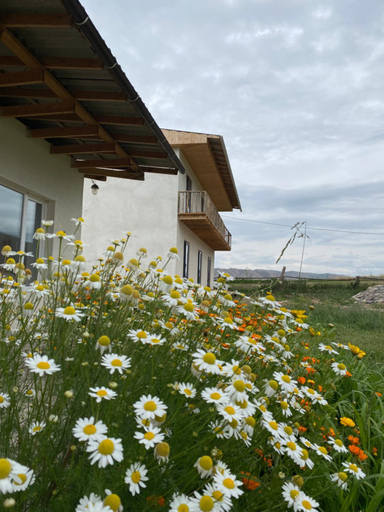 Others 4, Altay Village Hotel, Naryn