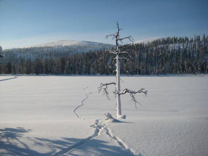 Others 4, Kyron Loma, Lapland