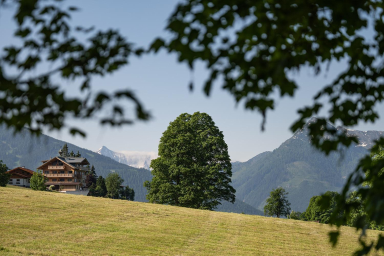 Others 2, Alpin Residenz Dachsteinperle, Liezen