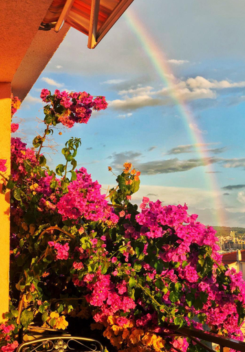 Others 5, Apartments Zulim, Trogir