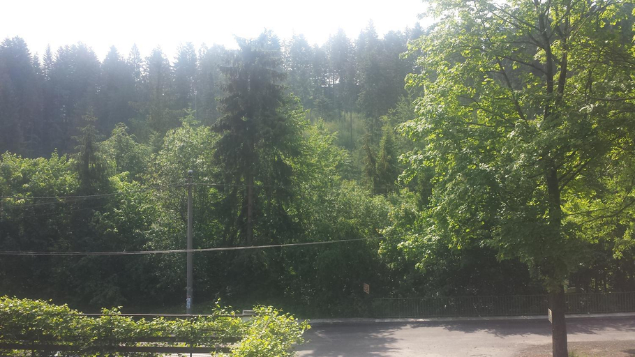 Others 5, Alaska, Cieszyn