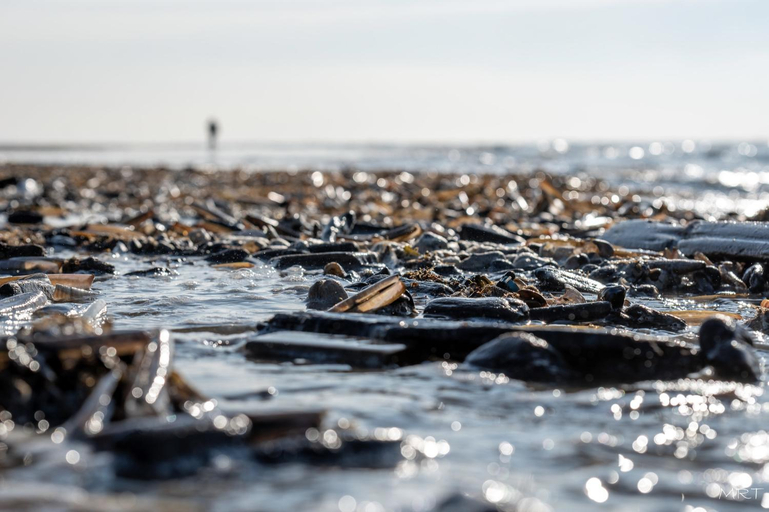 Others 5, Hotel Steeds aan Zee, Katwijk