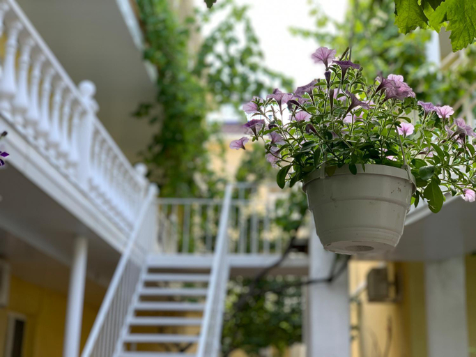 Others 1, Hotel Lev, Bilhorod-Dnistrovs'kyi