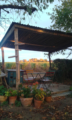 Others 2, la vigneraie, Loir-et-Cher