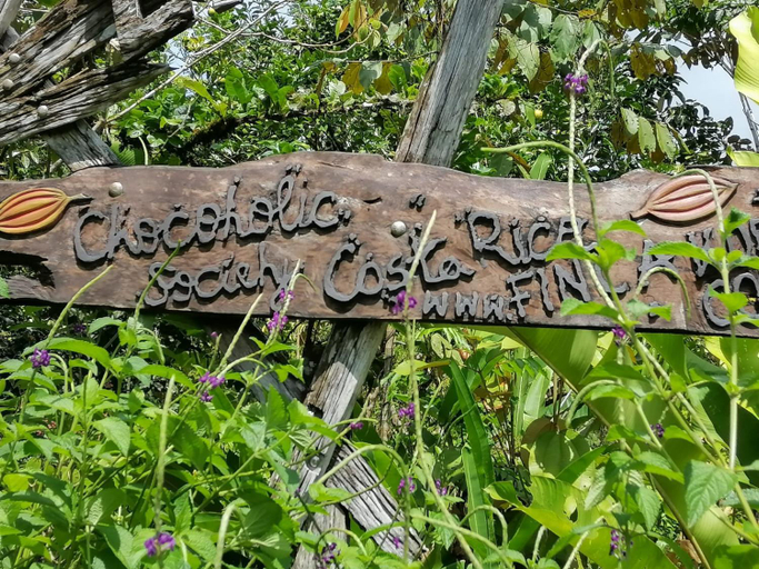 Others 2, Finca Kobo, Golfito