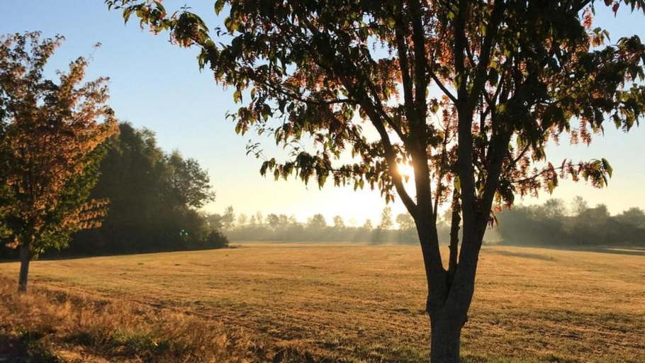 Others 3, Mooiverblijf, Ooststellingwerf