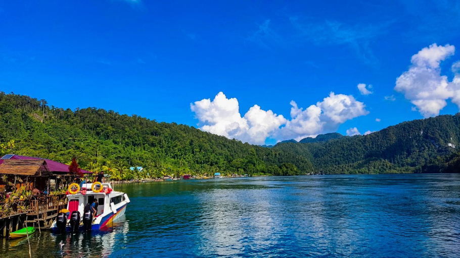 Others 4, The Jeti Mangrove - Ecolodge, Cottage, Restaurant & Kali Biru, Blue River, Raja Ampat