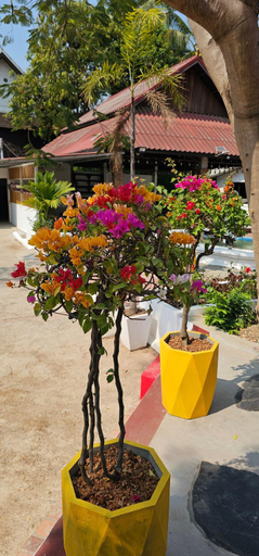 Others 4, Sabaidee Guesthouse, Luang Prabang