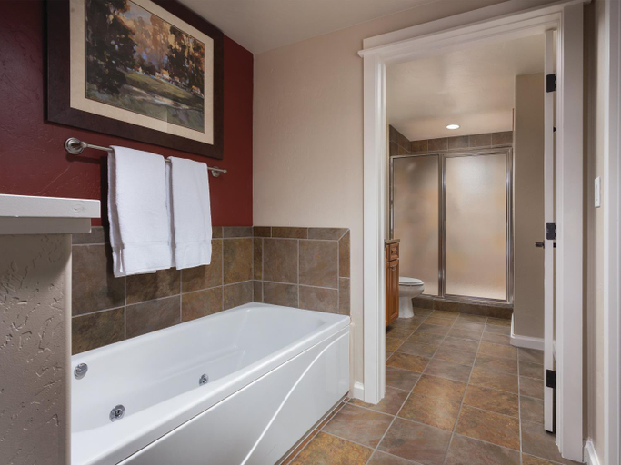 Bathroom, WorldMark Steamboat Springs, Routt