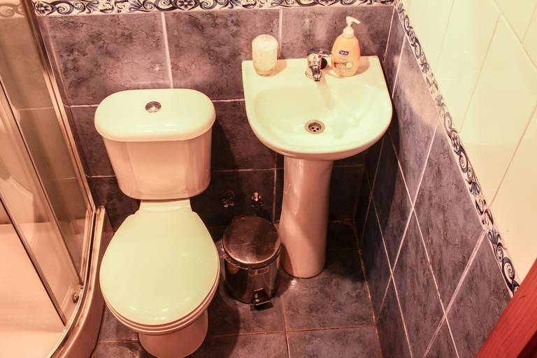 Bathroom 2, Hostal el Nogal Pucon, Cautín