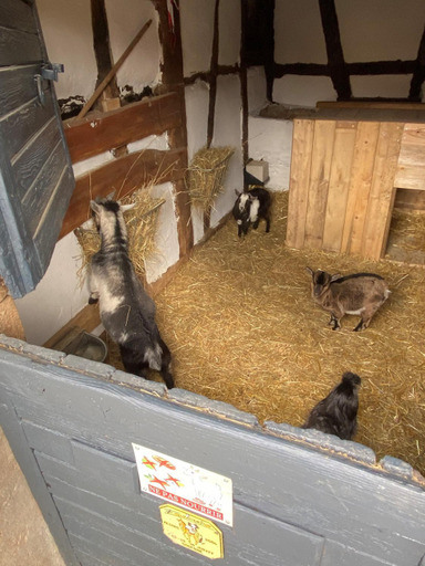 Food & Drinks 4, A la ferme, Bas-Rhin