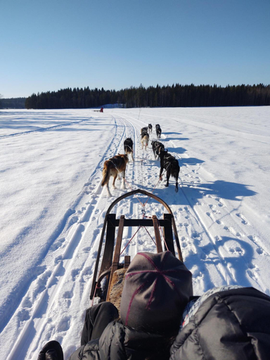 Others 3, Lagomhuset - A Peaceful Holiday In Swedish Lapland, Älvsbyn