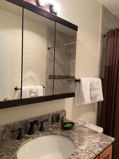 Bathroom 4, Park Regency Resort, Summit