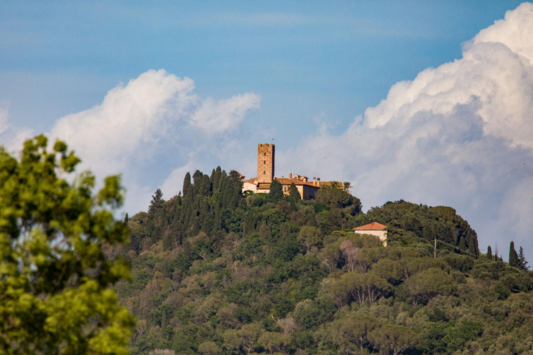 Nearby attraction, Agriturismo Podere Pizzicagallo, Grosseto