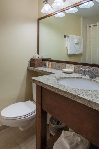 Bathroom 5, New Harmony Inn Resort and Conference Center, Posey